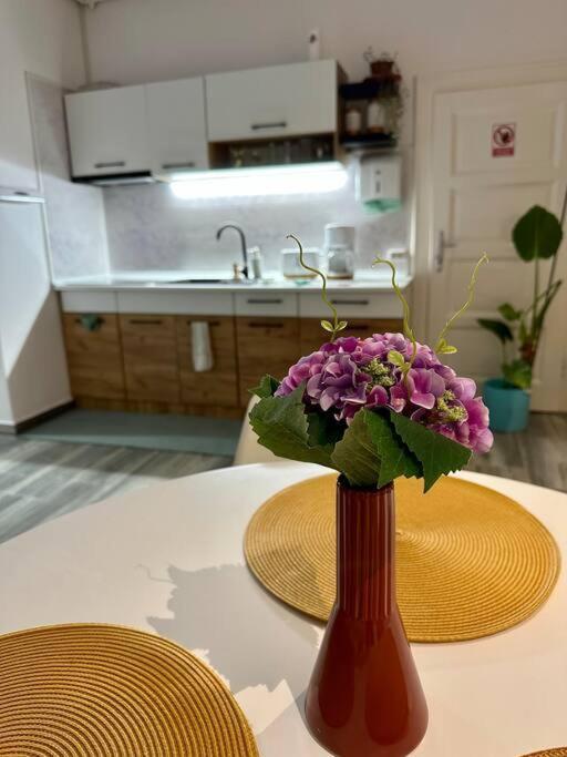Zion Home Sibiu Eksteriør bilde
